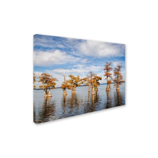 Jai Johnson 'Through The Cypress Garden' Canvas Art,35x47